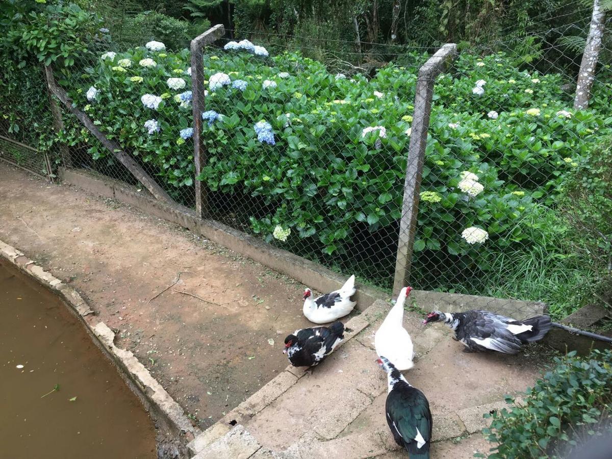Campos do JordãoCobertura Luxuosa De 250 M2 A 3Kms Do Centrinho Vista Espetacular公寓 外观 照片